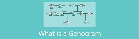 Familiegenogram: gedetailleerde uitleg, type en hoe。